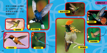 Load image into Gallery viewer, National Geographic Little Kids First Big Book of Birds • 國家地理小小鳥類探險家