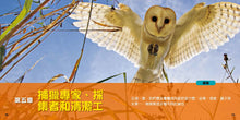 Load image into Gallery viewer, National Geographic Little Kids First Big Book of Birds • 國家地理小小鳥類探險家