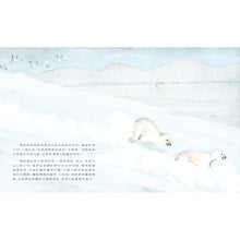 Load image into Gallery viewer, The Polar Bear • 北極熊