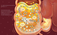 Load image into Gallery viewer, The Magical Poop Factory: The Wonderful Journey of Food • 神奇的便便工廠:食物的奇妙旅程