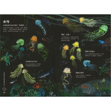 Load image into Gallery viewer, The Big Book of the Blue • 海洋大書BLUE