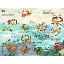 Load image into Gallery viewer, The Big Book of the Blue • 海洋大書BLUE