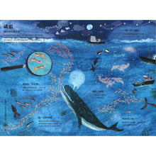 Load image into Gallery viewer, The Big Book of the Blue • 海洋大書BLUE