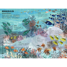Load image into Gallery viewer, The Big Book of the Blue • 海洋大書BLUE
