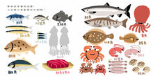 Load image into Gallery viewer, Baby's First Life Experience Picture Book (Set of 3) • 寶寶的第一套生活探索繪本