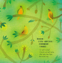Load image into Gallery viewer, A Leaf Can Be . . . • 葉,還可以是……