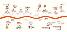 Load image into Gallery viewer, Our Festivals: Traditional Chinese Celebrations • 我們的節日【畫給孩子的中國傳統節日】