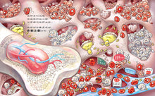 Load image into Gallery viewer, Follow Your Heart: Blood on the Body Planet  • 心臟噗通噗通:血液的身體大冒險