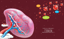 Load image into Gallery viewer, Follow Your Heart: Blood on the Body Planet  • 心臟噗通噗通:血液的身體大冒險