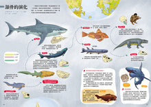 Load image into Gallery viewer, A Brief History of Life: From the Origins of the Universe to Human Civilization • 生命簡史:從宇宙起源到人類文明,重返生物演化大歷史