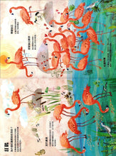 Load image into Gallery viewer, The Big Book of Birds • 野鳥大書BIRDS