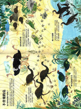 Load image into Gallery viewer, The Big Book of Birds • 野鳥大書BIRDS