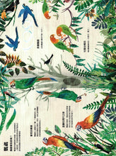 Load image into Gallery viewer, The Big Book of Birds • 野鳥大書BIRDS