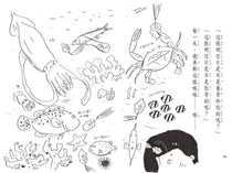Load image into Gallery viewer, Don't Believe Me? Ask the Shark! • 不信你去問鯊魚