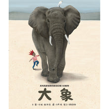 Load image into Gallery viewer, The Elephant • 大象