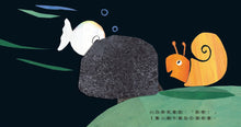 Load image into Gallery viewer, Little White Fish Counts to 11 (A Lift-the-Flap Board Book) • 小白魚玩躲貓貓