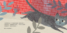 Load image into Gallery viewer, Little Mouse and the Red Wall • 紅牆外面是什麼
