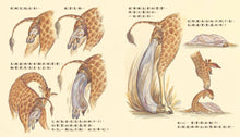 Load image into Gallery viewer, How Are Animals Babies Born? • 動物寶寶是怎麼出生的?