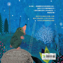 Load image into Gallery viewer, Mole's Star • 摩爾的星星