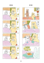 Load image into Gallery viewer, Product picture.