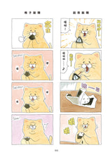 Load image into Gallery viewer, Product picture.