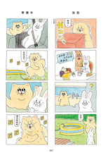 Load image into Gallery viewer, Product picture.