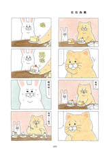 Load image into Gallery viewer, Product picture.