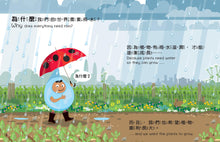 Load image into Gallery viewer, Why Does It Rain? • 小小孩的大問題:為什麼要下雨?(厚紙翻翻書)