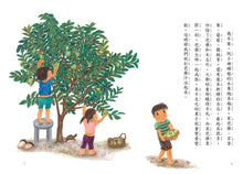 Load image into Gallery viewer, In My Home 15th Anniversary Collection (Set of 5) • 我家系列15週年紀念套組(共5冊)