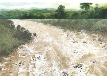 Load image into Gallery viewer, Saving Sorya: Chang and the Sun Bear • 守護馬來熊的女孩:再見,索亞!以信念燃亮夢想的旅程