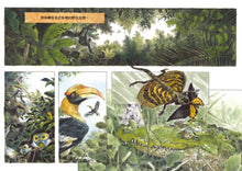 Load image into Gallery viewer, Saving Sorya: Chang and the Sun Bear • 守護馬來熊的女孩:再見,索亞!以信念燃亮夢想的旅程