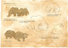 Load image into Gallery viewer, Saving Sorya: Chang and the Sun Bear • 守護馬來熊的女孩:再見,索亞!以信念燃亮夢想的旅程