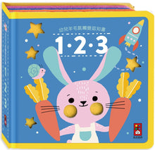 Load image into Gallery viewer, Soft to Touch Words: 123 • 幼兒羊毛氈觸覺認知書:123