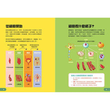 Load image into Gallery viewer, Human Body Learning Lab: Take an Inside Tour of How Your Anatomy Works • 天才小醫生的人體實驗課:18種遊戲實驗與10個器官模型DIY,內化孩子的醫學腦!