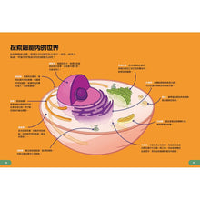 Load image into Gallery viewer, Human Body Learning Lab: Take an Inside Tour of How Your Anatomy Works • 天才小醫生的人體實驗課:18種遊戲實驗與10個器官模型DIY,內化孩子的醫學腦!