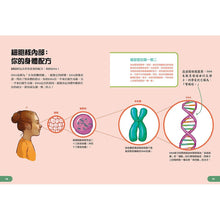 Load image into Gallery viewer, Human Body Learning Lab: Take an Inside Tour of How Your Anatomy Works • 天才小醫生的人體實驗課:18種遊戲實驗與10個器官模型DIY,內化孩子的醫學腦!