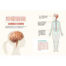 Load image into Gallery viewer, Human Body Learning Lab: Take an Inside Tour of How Your Anatomy Works • 天才小醫生的人體實驗課:18種遊戲實驗與10個器官模型DIY,內化孩子的醫學腦!