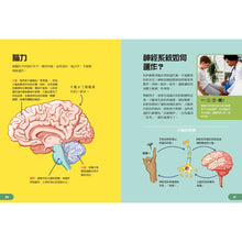 Load image into Gallery viewer, Human Body Learning Lab: Take an Inside Tour of How Your Anatomy Works • 天才小醫生的人體實驗課:18種遊戲實驗與10個器官模型DIY,內化孩子的醫學腦!