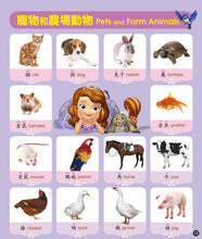 Load image into Gallery viewer, Disney's Bilingual Standing Book of Words • 迪士尼幼兒認知大掛圖