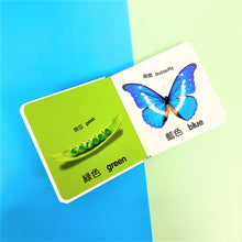 Load image into Gallery viewer, DK Baby Touch and Feel: Colours and Shapes • 寶寶全接觸 -- 顏色和形狀