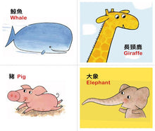 Load image into Gallery viewer, Guess! (Set of 3) • 猜一猜翻翻套書