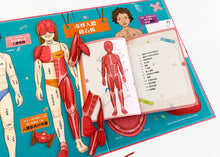 Load image into Gallery viewer, The Human Body and How It Works Book and Magnet Kit • 人體裏有什麼?奇妙人體磁貼學習套裝