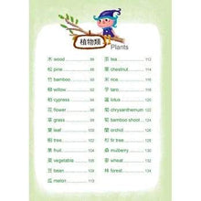 Load image into Gallery viewer, The New Magic Dictionary (with PinYin) • 新編識字魔法字典(附漢語拼音)