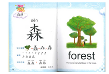 Load image into Gallery viewer, The New Magic Dictionary (with PinYin) • 新編識字魔法字典(附漢語拼音)