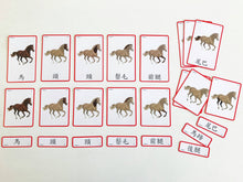 Load image into Gallery viewer, Bilingual Montessori 3-Part Cards • 蒙特梭利認知識字三段卡學習套裝〔蒙特梭利教育系列〕