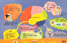 Load image into Gallery viewer, Let’s Go: Inside the Human Body • 人體層層大歷奇
