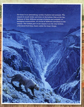 Load image into Gallery viewer, Grand Canyon (English)