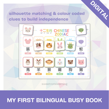 Load image into Gallery viewer, My First Bilingual Busy Book (Bilingual English and Cantonese with Jyutping or Mandarin with Pinyin) (Digital)