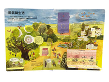 Load image into Gallery viewer, Lift-the-Flap 24 Solar Terms Revealed • 翻翻學知識:二十四節氣揭秘