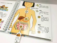 Load image into Gallery viewer, Our Bodies (Interactive Book) • 我們的身體